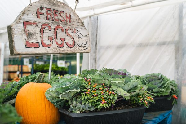 19th Avenue Farmer's Market by null