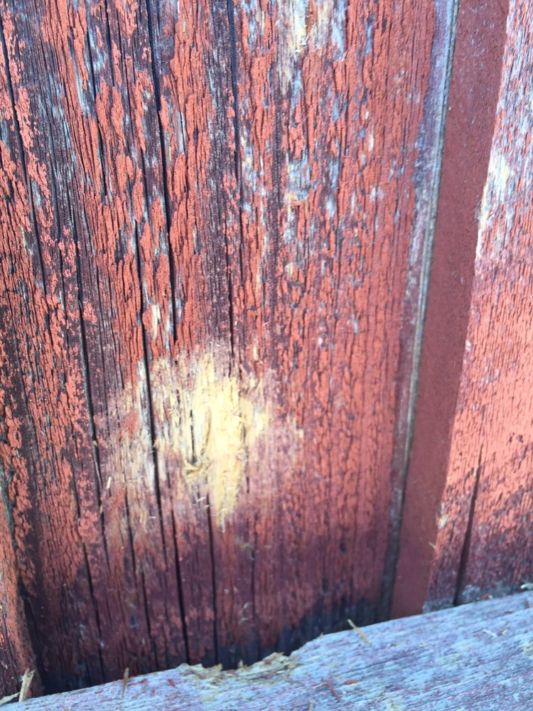 Slide of Accent Roofing Company & Construction