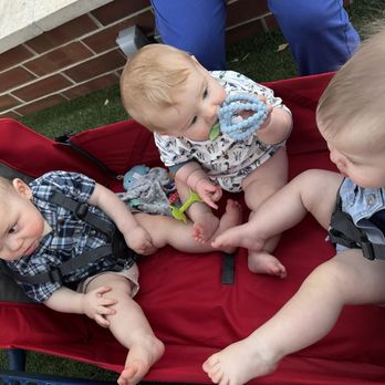 Talyard Brewing - Babies enjoying the atmosphere from their wagon - Breweries Near Me - Sugar Land, Texas Talyard Brewing - Babies enjoying the atmosphere from their wagon - Breweries Near Me - Sugar Land, Texas