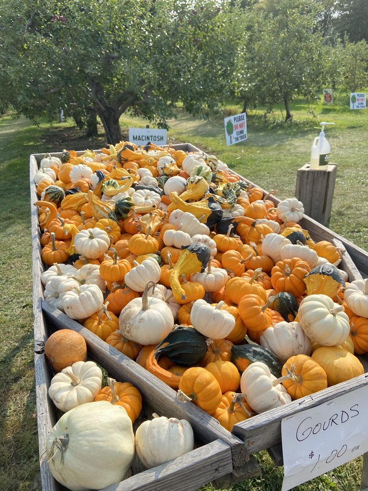 BLACKMAN HOMESTEAD FARM 57 Photos & 25 Reviews Farmers Market