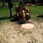 Photo of Rubio’s Tree Removal Service