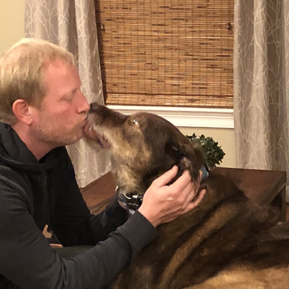 Canine Conservatory - Pet Training Near Me Canine Conservatory - Pet Training Near Me