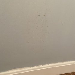 Gerhardt Drywall & Painting - Previous paint color showing throughout the entire room. Top and bottom of trim needs repainted. Tiles need to be unpainted.