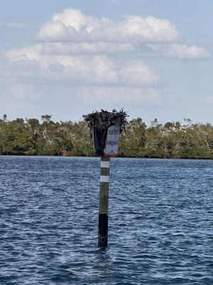 Ophelia's on the Bay by null