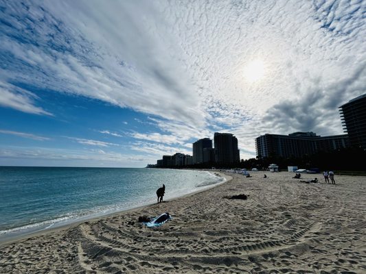 Bal Harbour Beach by null