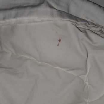 Surfer Beach Hotel - Blood on the Bed Sheets - San Diego, CA