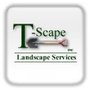 Photo of T-Scape