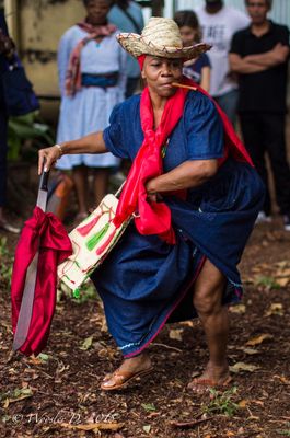 Tap Tap Tours & Transportation LLC by null