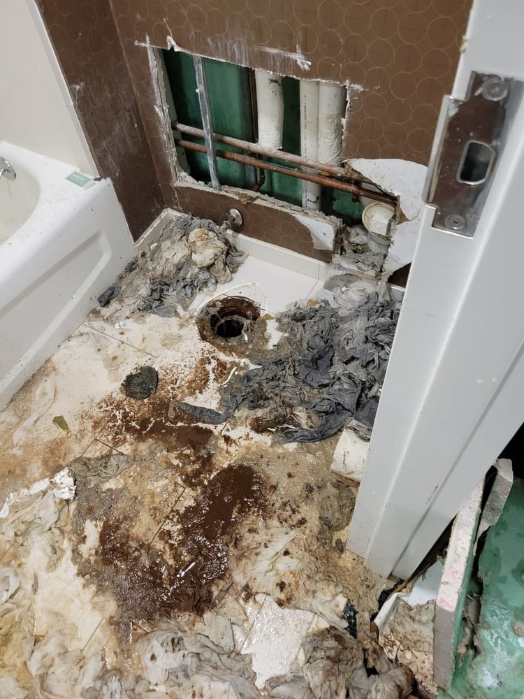 ROTOROOTER PLUMBING SEWER & DRAIN CLEANING SERVICE Updated August