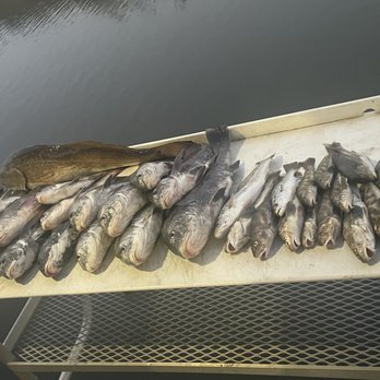 Steel salty charters - Fishing Near Me Steel salty charters - Fishing Near Me