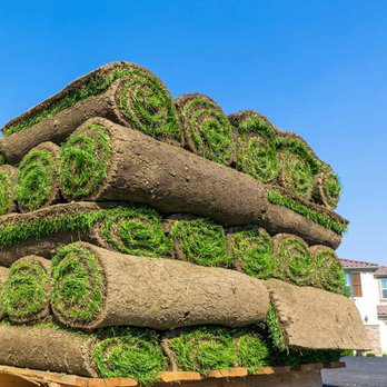 1. Rapid Creek Sod