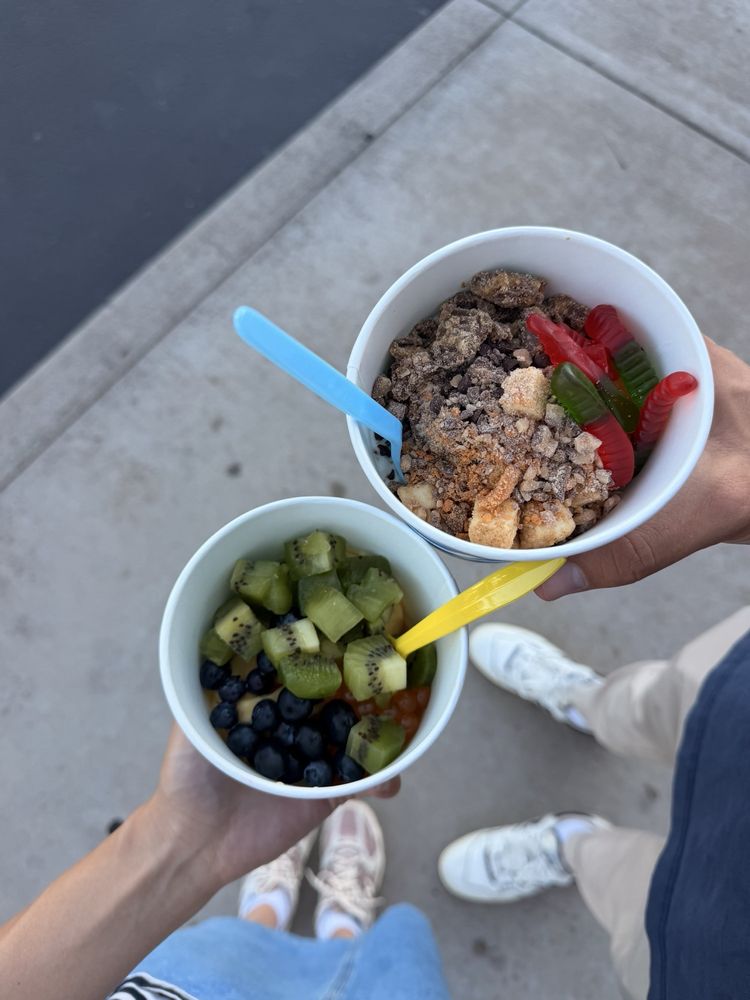 Yogurt Shack Logo