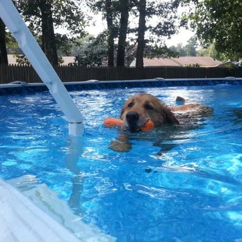 Pamper Ur Poochie Boarding Parlor - Pet Training Near Me - Selden, New York Pamper Ur Poochie Boarding Parlor - Pet Training Near Me - Selden, New York