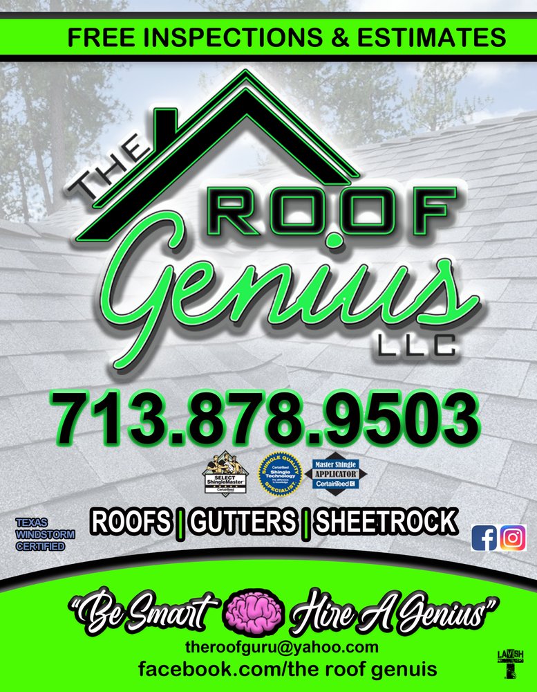 Slide of The Roof Genius