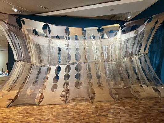 Museo de Arte Moderno by null