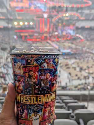 Allegiant Stadium by null