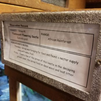 Gorilla Falls Exploration Trail - Amusement Parks Near Me - Lake Buena Vista, Florida