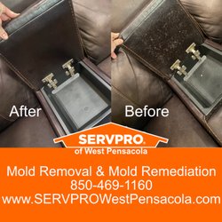 SERVPRO of West Pensacola - SERVPRO of West Pensacola provides mold remediation for furniture and upholstery.