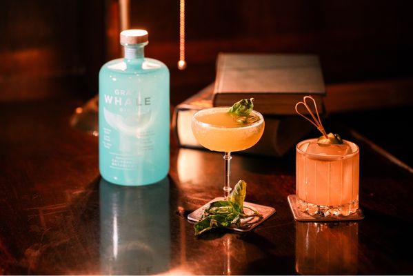 The Wellesbourne by null