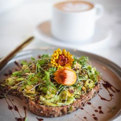 Edison House - Avocado Toast with Sprouts, Balsamic Glaze, and Edible Flowers.