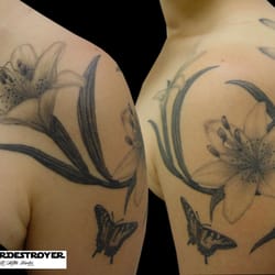 Superstardestroyer - Lillies & Butterflies by JABBA