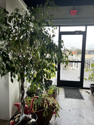 Tabol Brewing by null