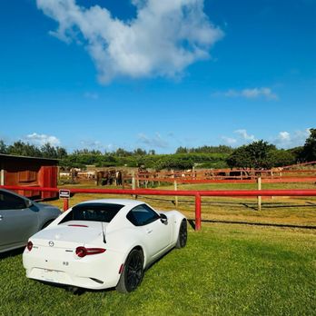 Gunstock Ranch - parking - Horseback Riding Near Me - Laie, Hawaii Gunstock Ranch - parking - Horseback Riding Near Me - Laie, Hawaii