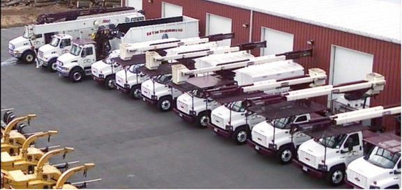 Ed The Treeman - tree service in Prospect, CT