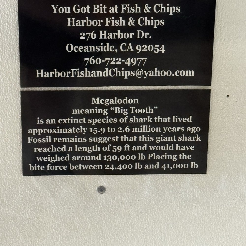 Harbor Fish & Chips - Fish & Chips Near Me - Oceanside, California Harbor Fish & Chips - Fish & Chips Near Me - Oceanside, California
