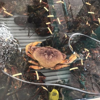 Chun's Meat Market - Crabs - Barbeque Near Me - Honolulu, Hawaii