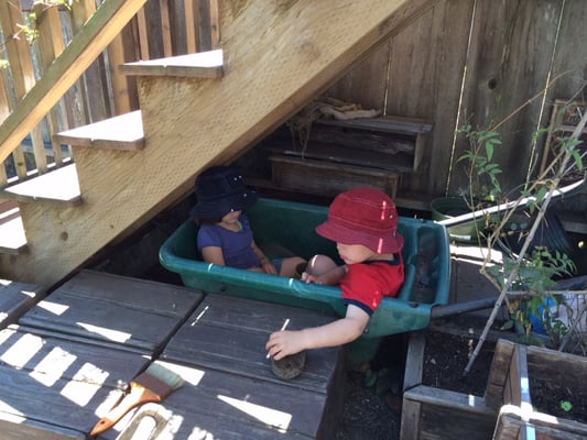 Children's Sunflower House & Garden by null