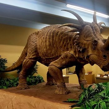 Dinosaur Museum - Museums Near Me - Blanding, Utah