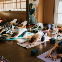 Root to Rise Yoga