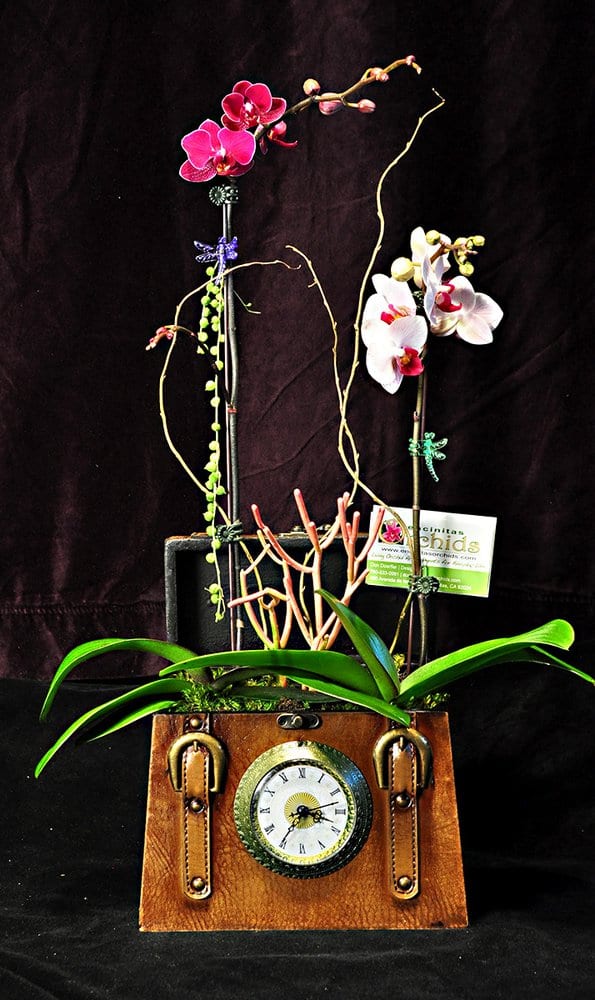 ENCINITAS ORCHIDS Updated October 2024 450 Avenida De Las Rosas