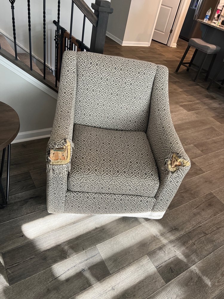 Reupholstery Charlotte - upholstery in Charlotte, NC
