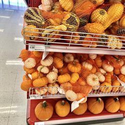 Target - Target, Malvern -- great deals on pumpkins and gourds