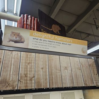 Petco - Delightful hamster - Pet Training Near Me - Granada Hills, California Petco - Delightful hamster - Pet Training Near Me - Granada Hills, California