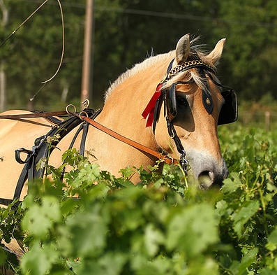 Château Léognan - Hotel & Area Viticole by null
