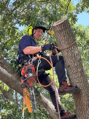 Tree Removal and Trimming - Randy Small Landscape LLC offers professional tree trimming, tree removal, stump grinding, and emergency tree services. Led by an ISA Certified Arborist, we provide expert care to keep your trees healthy and landscapes beautiful. Contact us for a free quote today!