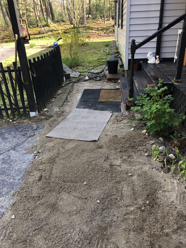 Slide of A Bee Septic