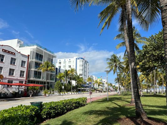 Park Central South Beach by null