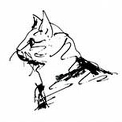 Catsitting Katzenschutzbund Köln