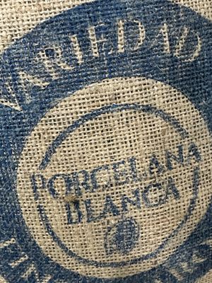 Éclat Chocolate by null