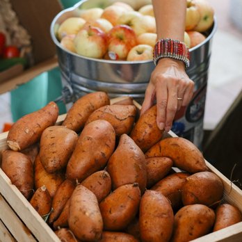 Hungry Harvest - Picked and Packed Fresh - CSA Near Me - Miami, Florida Hungry Harvest - Picked and Packed Fresh - CSA Near Me - Miami, Florida