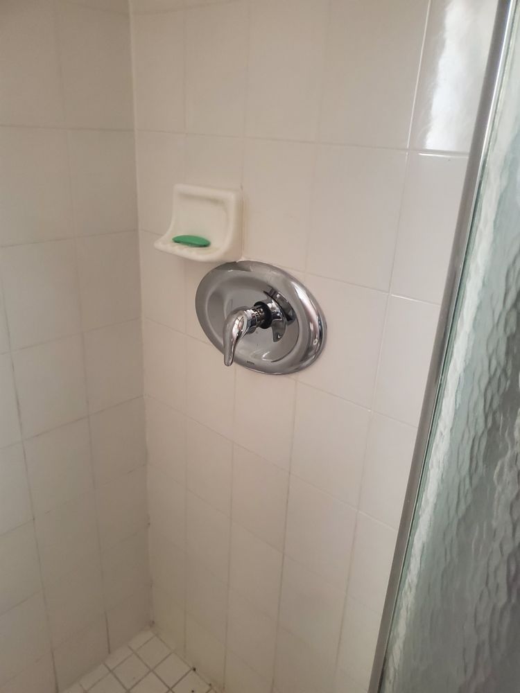 Slide of Mammoth Solutions