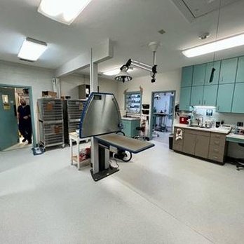 Midtown Veterinary Practice - Veterinarians Near Me - Huntsville, Alabama Midtown Veterinary Practice - Veterinarians Near Me - Huntsville, Alabama