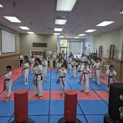 U.S. Tae Kwon Do College