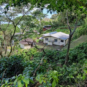 Friendship Garden - Someone's house is right below - Hiking Near Me - Kaneohe, Hawaii Friendship Garden - Someone's house is right below - Hiking Near Me - Kaneohe, Hawaii