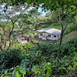 Friendship Garden - Someone's house is right below