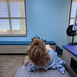 Hann Orthodontics